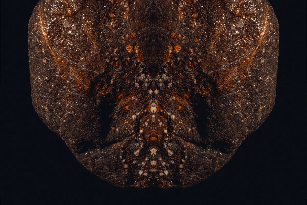 Redbird Restaurant visual content and social media strategy